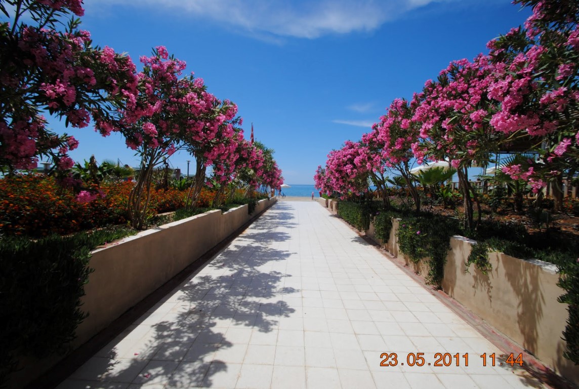 imagini hotel AMELIA BEACH RESORT SIDE